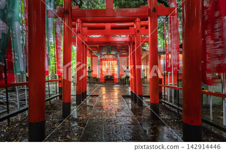 Rain-Soaked Inari Torii Gates at Osugi Shrine Ibaraki, Japan 142914446