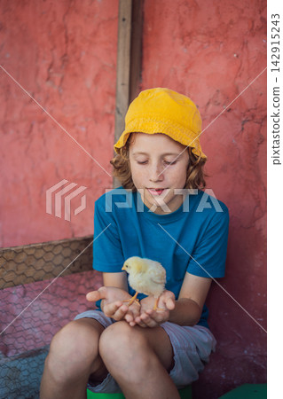 Boy discovers a young chick during an educational animal encounter. Hands on learning and animal education. Boy discovers a young chick during an educational animal encounter. Hands on learning and animal education. 142915243