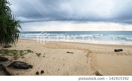 tropical beach with palm trees tropical beach with palm trees 142915392