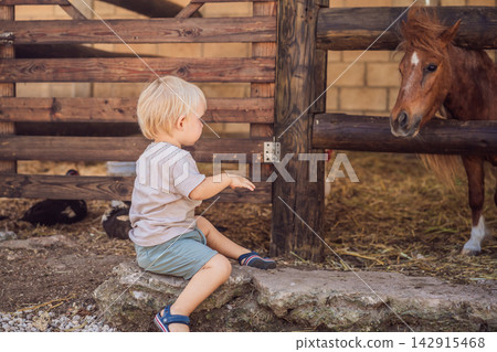 Toddler discovers a pony during a visit to a children's farm. Curiosity and discovery through animal encounters. Toddler discovers a pony during a visit to a children's farm. Curiosity and discovery through animal encounters. 142915468