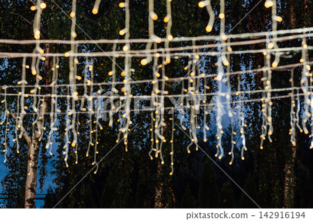 Warm glowing fairy lights garland hanging outdoors in evening garden. Warm glowing fairy lights garland hanging outdoors in evening garden. 142916194