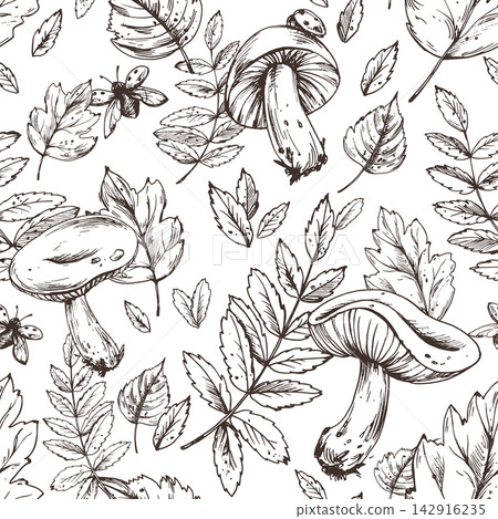 Hand drawn ink engraving seamless pattern with mushrooms and autumn leaves. Vintage black and white botanical illustration of fall forest plants and insects. Hand drawn ink engraving seamless pattern with mushrooms and autumn leaves. Vintage black and white botanical illustration of fall forest plants and insects. 142916235