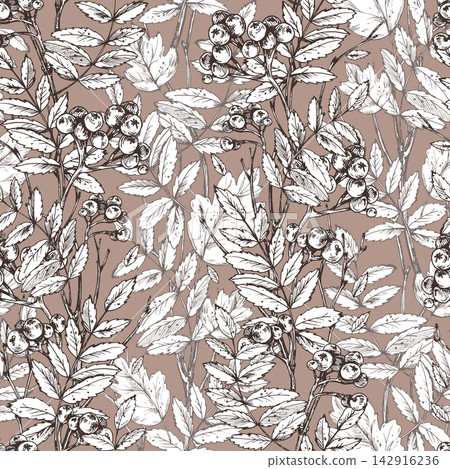 Hand drawn ink engraving seamless pattern with rowan berries and leaves. Vintage botanical outline illustration on brown background. Hand drawn ink engraving seamless pattern with rowan berries and leaves. Vintage botanical outline illustration on brown background. 142916236