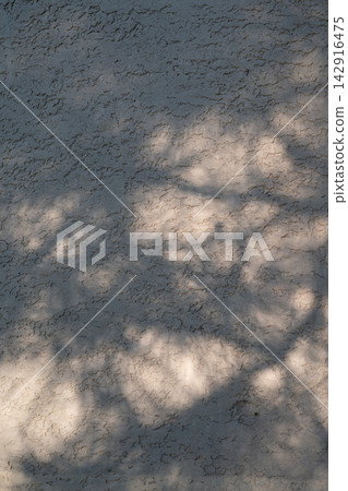 Soft Leaf Shadows on Stucco Wall, Natural Sunlight and Minimalist Background Soft Leaf Shadows on Stucco Wall, Natural Sunlight and Minimalist Background 142916475
