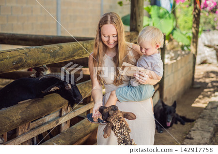 Mother and toddler enjoy a close encounter with a sheep and goat. Joy and connection during a farm animal encounter. Mother and toddler enjoy a close encounter with a sheep and goat. Joy and connection during a farm animal encounter. 142917758