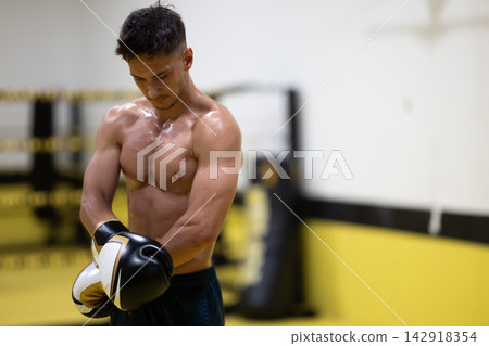 Muscular Young Boxer Putting On Gloves in Gym Ring Preparing for Intense Training Session Muscular Young Boxer Putting On Gloves in Gym Ring Preparing for Intense Training Session 142918354