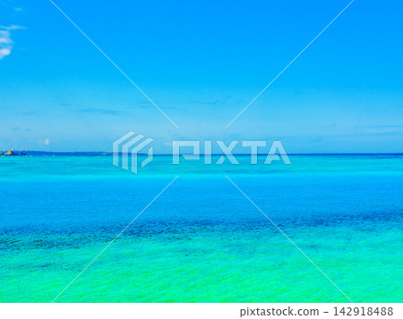 沖繩寶島的美麗海 142918488