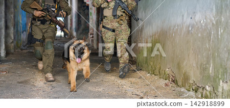 Military K9 Unit Soldiers Running Through Abandoned Urban Building With German Shepherd Military K9 Unit Soldiers Running Through Abandoned Urban Building With German Shepherd 142918899