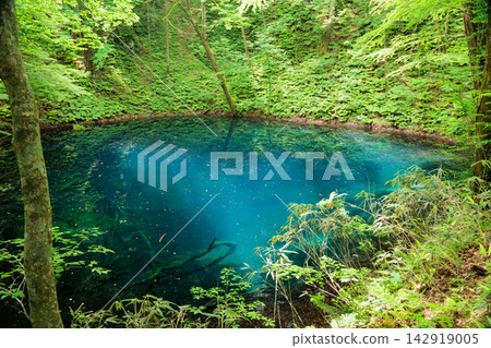 Twelve Lakes and Aoike Pond on a sunny day | Aoike Pond's blue color and the lush green forest Twelve Lakes and Aoike Pond on a sunny day | Aoike Pond's blue color and the lush green forest 142919005