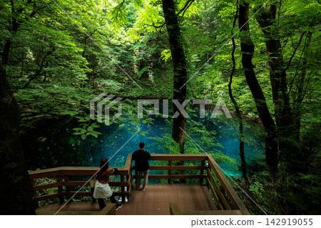 Aomori Prefecture, Fukaura Town - The Blue Pond of Juniko Lakes | Early Summer Sunshine and Fresh Greenery Aomori Prefecture, Fukaura Town - The Blue Pond of Juniko Lakes | Early Summer Sunshine and Fresh Greenery 142919055