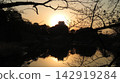 Nagoya Castle: The castle tower bathed in the evening light just before sunset (exterior restoration). 142919284