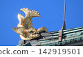 Nagoya Castle, Main Tower: The brilliantly shining golden shachihoko (female), exterior restoration. 142919501