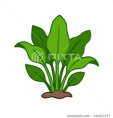 A simple and elegant vector drawing of bright green leaves, perfect for botanical or nature-themed designs. A simple and elegant vector drawing of bright green leaves, perfect for botanical or nature-themed designs. 142921477