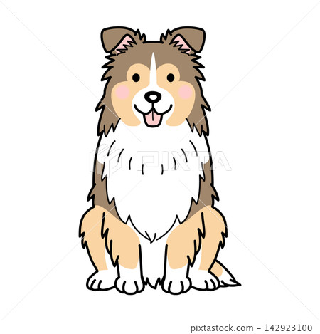 Vector illustration of a Shetland Sheepdog (full body) 142923100