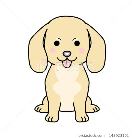 迷你臘腸犬的向量插圖(光滑毛髮,奶油色,全身像)。 迷你臘腸犬的向量插圖(光滑毛髮,奶油色,全身像)。 142923101