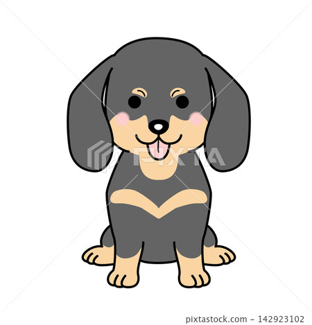 迷你臘腸犬的向量圖（短毛，黑色和棕褐色，全身像）。 142923102