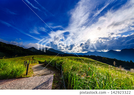 Pampas grass flowers and summer clouds along the promenade, Soni Plateau, 12mm, copy space above, horizontal composition, close to the promenade, suitable for B0 poster. Pampas grass flowers and summer clouds along the promenade, Soni Plateau, 12mm, copy space above, horizontal composition, close to the promenade, suitable for B0 poster. 142923322