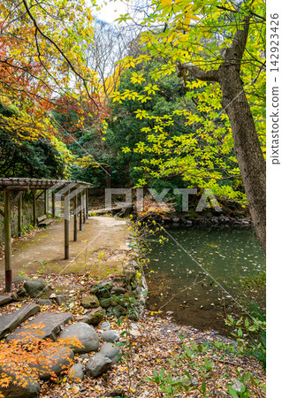 [Tokyo] Sanshiro Pond at the University of Tokyo, which also appears in the novels of Natsume Soseki. 142923426