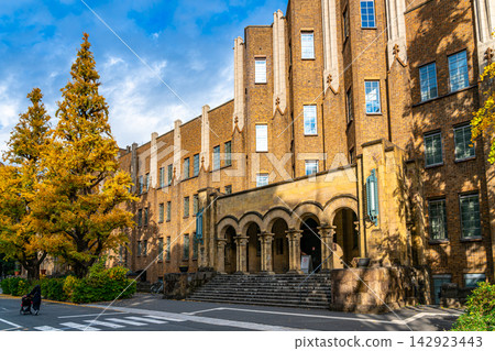 【東京】東京大學本鄉校區美麗的銀杏樹大道。 【東京】東京大學本鄉校區美麗的銀杏樹大道。 142923443