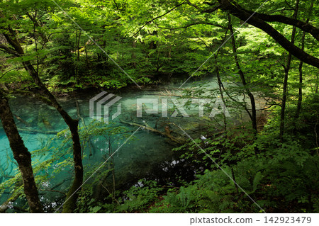 富坪池美麗的水面 | 青森縣深浦町純子湖 富坪池美麗的水面 | 青森縣深浦町純子湖 142923479