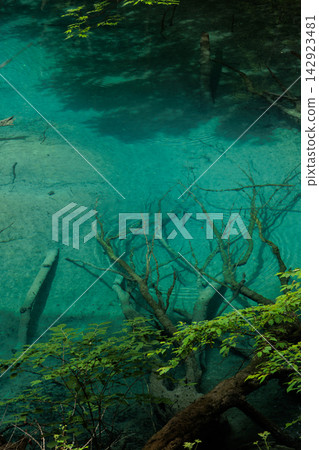 Juniko Lakes - Futsubo Pond | Transparent blue water surface and lush green forest Juniko Lakes - Futsubo Pond | Transparent blue water surface and lush green forest 142923481