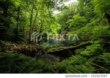 富坪池美麗的水面 | 青森縣深浦町純子湖 富坪池美麗的水面 | 青森縣深浦町純子湖 142923567