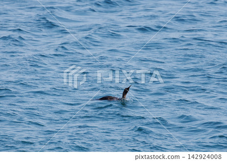 Wakinosawa rocky shore and sea | Coastal scenery of the clear Mutsu Bay Wakinosawa rocky shore and sea | Coastal scenery of the clear Mutsu Bay 142924008