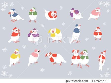 A set of cute and colorful illustrations of white Java sparrows in winter, dressed as Santa Claus. A set of cute and colorful illustrations of white Java sparrows in winter, dressed as Santa Claus. 142924460