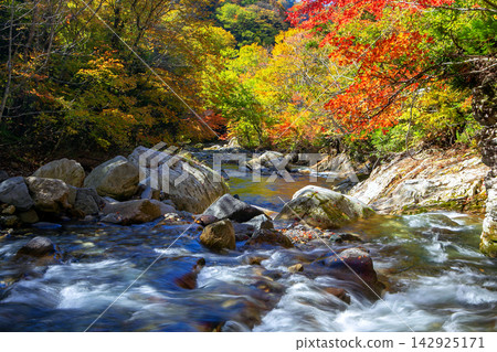Tetsubakyo in the fall Tetsubakyo in the fall 142925171