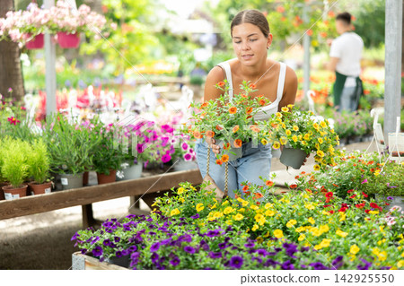 Girl choosing potted flowers calibrachoa (million bells) at flower sale at flower market sale Girl choosing potted flowers calibrachoa (million bells) at flower sale at flower market sale 142925550