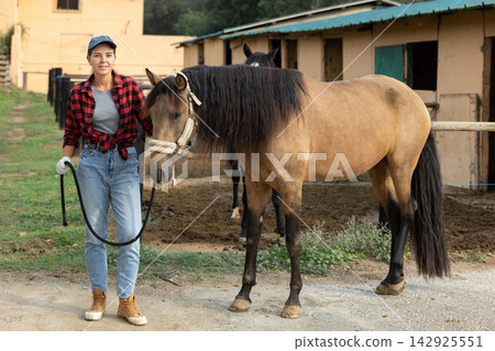 Woman owner of horse leads animal by bridle on street, walks it in street paddock Woman owner of horse leads animal by bridle on street, walks it in street paddock 142925551