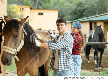 Male worker in plaid shirt combs tethered horse in stable. Male worker in plaid shirt combs tethered horse in stable. 142925702