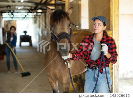 Female owner of horse takes animal out of stall, holds bridle and forces it to follow her Female owner of horse takes animal out of stall, holds bridle and forces it to follow her 142926615