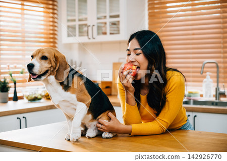 In the kitchen, a woman and her dog, a hound, share a moment of togetherness, enjoying a red apple on the table. Their bond, friendship, and happiness are evident. Pet love In the kitchen, a woman and her dog, a hound, share a moment of togetherness, enjoying a red apple on the table. Their bond, friendship, and happiness are evident. Pet love 142926770