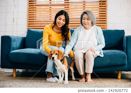 In their cozy living room, cheerful woman and her mother enjoy playtime with their Beagle dog, running happily on floor. It's a delightful weekend leisure activity that showcases their friendly bond. In their cozy living room, cheerful woman and her mother enjoy playtime with their Beagle dog, running happily on floor. It's a delightful weekend leisure activity that showcases their friendly bond. 142926772