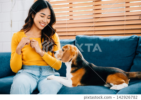 On the sofa, a woman teaches and embraces her Beagle puppy, creating a portrait of friendship and happiness at home. Their playful interaction is heartwarming. Pet love 142926782