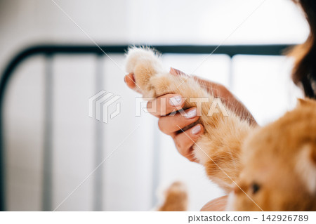 In a serene setting, a woman embraces her cat's paw, illustrating the harmony and togetherness that defines their owner-pet relationship. friendship pat love In a serene setting, a woman embraces her cat's paw, illustrating the harmony and togetherness that defines their owner-pet relationship. friendship pat love 142926789