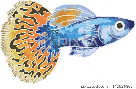 一幅色彩鮮豔、風格獨特的手繪孔雀魚插圖(熱帶魚、水族箱、材質)。 一幅色彩鮮豔、風格獨特的手繪孔雀魚插圖(熱帶魚、水族箱、材質)。 142926802