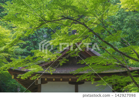 Kyoto Kamigamo Shrine, Sawada Shrine amidst the greenery Kyoto Kamigamo Shrine, Sawada Shrine amidst the greenery 142927098