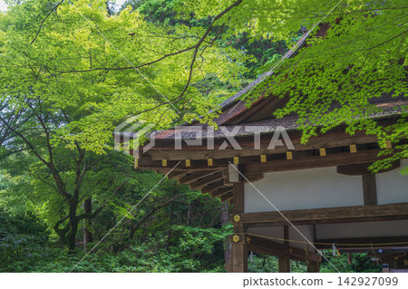 Kyoto Kamigamo Shrine, Sawada Shrine amidst the greenery Kyoto Kamigamo Shrine, Sawada Shrine amidst the greenery 142927099