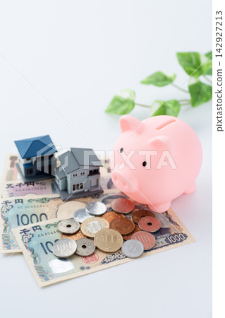 Coin and piggy bank Coin and piggy bank 142927213