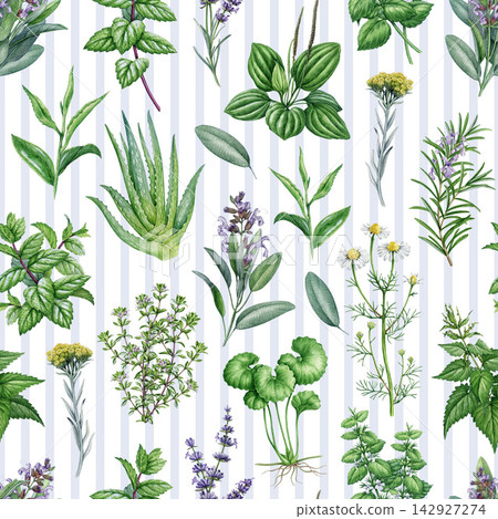 Skincare herbs seamless pattern design element. Hand drawn aloe vera, sage, mint, chamomile, lavender apothecary plants watercolor illustration for cosmetic packaging, textiles, wellness branding Skincare herbs seamless pattern design element. Hand drawn aloe vera, sage, mint, chamomile, lavender apothecary plants watercolor illustration for cosmetic packaging, textiles, wellness branding 142927274