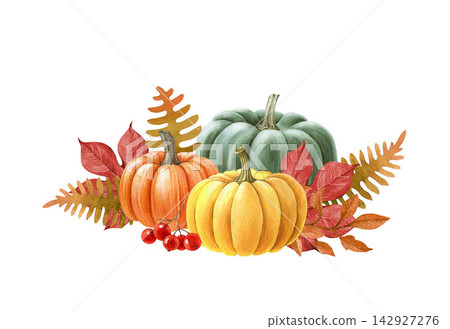 Autumn pumpkin floral composition, hand painted watercolor illustration isolated. Fall pumpkins, leaves, berries and flowers for Thanksgiving cards, invitations, packaging and seasonal decor Autumn pumpkin floral composition, hand painted watercolor illustration isolated. Fall pumpkins, leaves, berries and flowers for Thanksgiving cards, invitations, packaging and seasonal decor 142927276