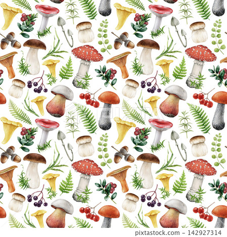 Forest elements botanical seamless pattern with woodland mushrooms, berries, ferns, wild herbs on white. Hand drawn watercolor fall nature texture for fabric, wallpaper, stationery, packaging design Forest elements botanical seamless pattern with woodland mushrooms, berries, ferns, wild herbs on white. Hand drawn watercolor fall nature texture for fabric, wallpaper, stationery, packaging design 142927314