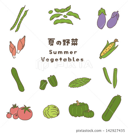 A set of vector illustrations of summer vegetables. A set of vector illustrations of summer vegetables. 142927435