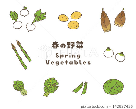 A set of vector illustrations of spring vegetables. A set of vector illustrations of spring vegetables. 142927436