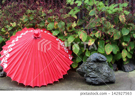 A Japanese umbrella and garden stones, a scene in the shade of the trees. A Japanese umbrella and garden stones, a scene in the shade of the trees. 142927563