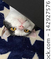 Pop, zzz 142927576