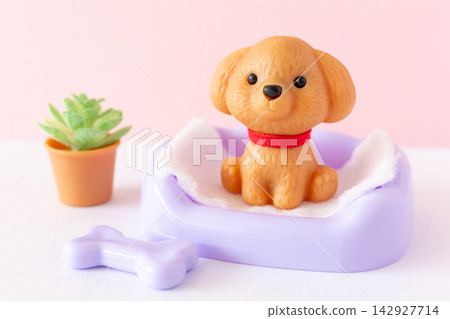 Dog sitting on a pet training pad; indoor dog toilet training Dog sitting on a pet training pad; indoor dog toilet training 142927714