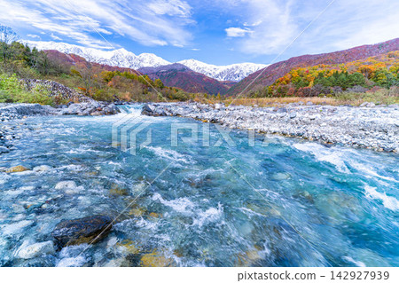 Autumn foliage of the Matsukawa River and three-tiered leaves as seen from near Hakuba Ohashi Bridge in Hakuba Village [Nagano Prefecture] 142927939